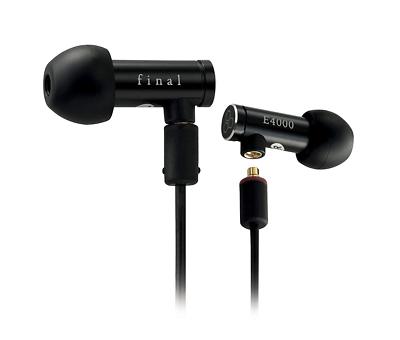 FINAL E4000 In-Ear Earphones Hi-Res Headphones IEM Earbuds (Black) open box