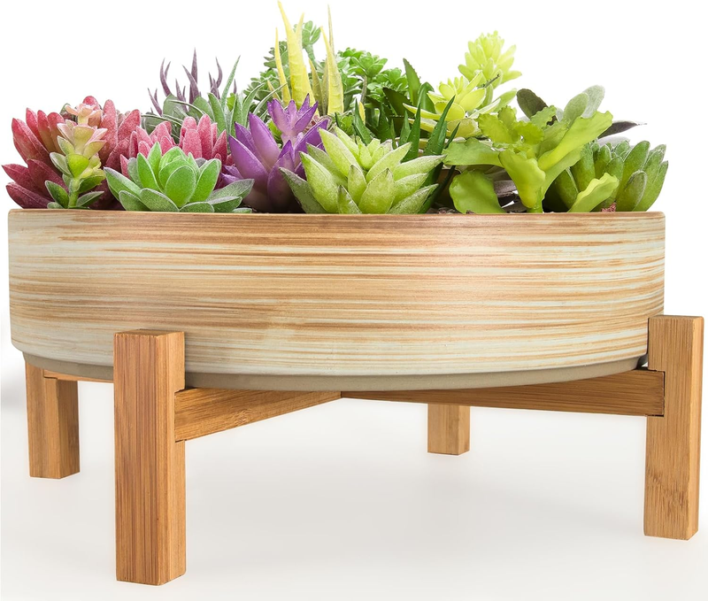 Succulent Pots, 11 Inch Large Plant Pots Ceramic Bonsai Pots with Drainage | Sha