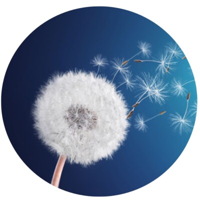 PossAbilities Plus, Inc