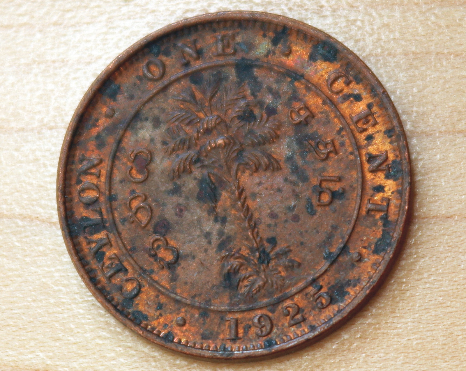 セイロン島　5セント銅貨　1892 NGC VF30 セイロン島 5セント銅貨 1892 NGC VF30 1892 Ceylon Sri Lanka 5