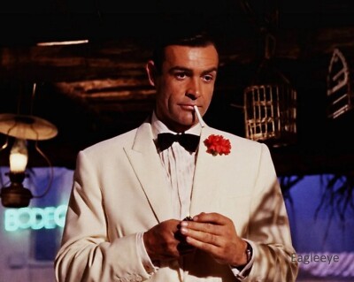 James Bond 007 Goldfinger Sean Connery 8x10 PHOTO PRINT