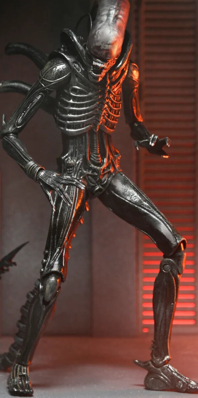 SF・ファンタジー・ホラー NECA Alien: Romulus Scorched Xenomorph Alien: Romulus Ultimate Scorched Xenomorph 7-inch Scale