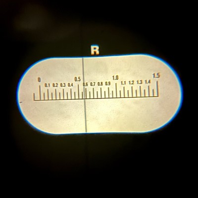 Artikelfoto(s) von einem verifizierten Käufer