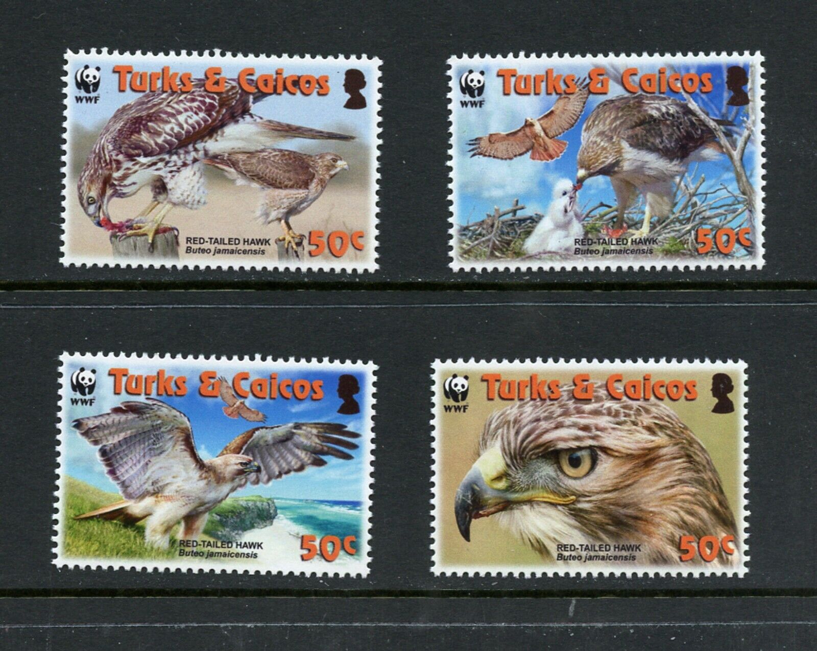 S0332 Turks & Caicos 2007 birds hawks 4v. MNH S0332 Turks & Caicos 2007 birds hawks 4v. MNH