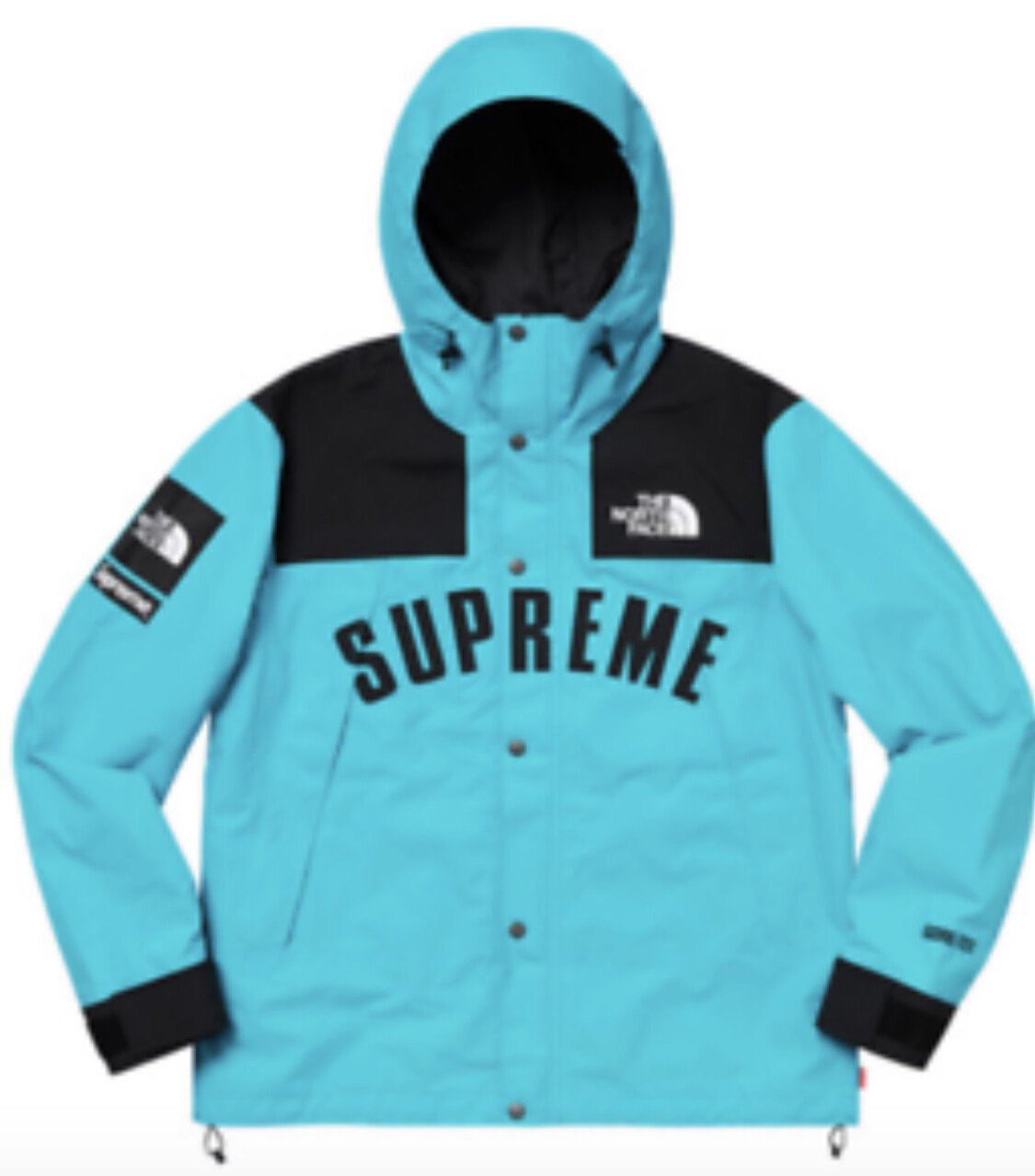 supreme x north face