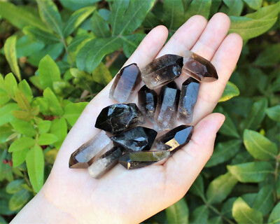 Smoky Quartz Crystal Points: 500 Carat Lot  (Natural Smokey Quartz, 100 Gram)