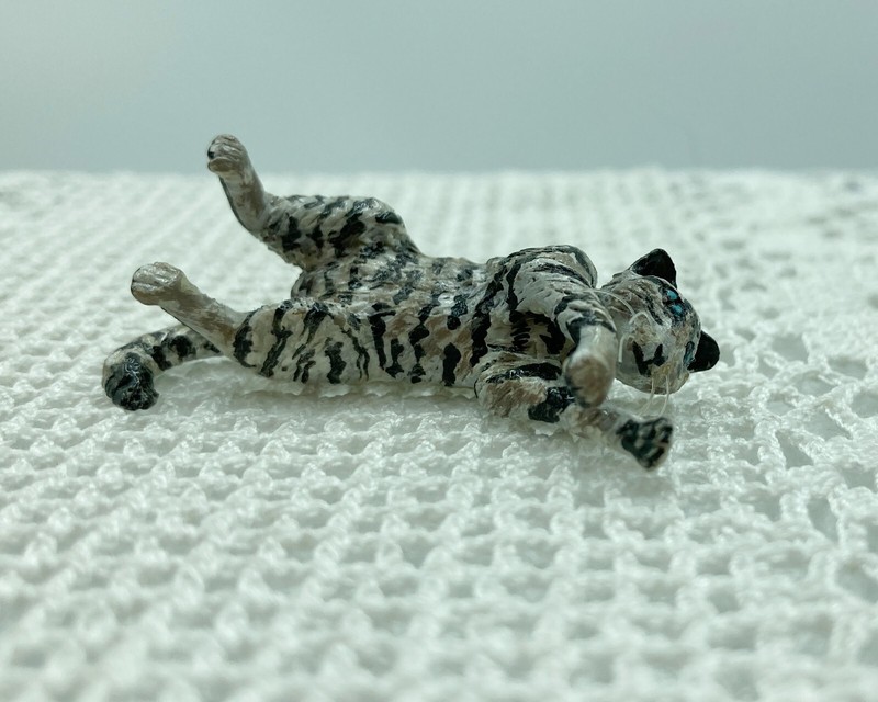 What Does It Mean When Your Cat Lets You Rub Its Belly