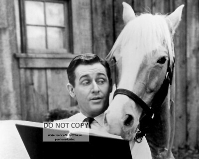ALAN YOUNG AND ''MISTER ED'' TELEVISION SHOW - 8X10 PUBLICITY PHOTO (ZY-115)
