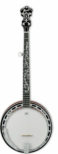 Banjo Blanton BB-10R Shipped from Japan | eBay Banjo Blanton BB-10R Shipped from Japan | eBay