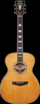 D'Angelico Premier Tammany - Vintage Natural