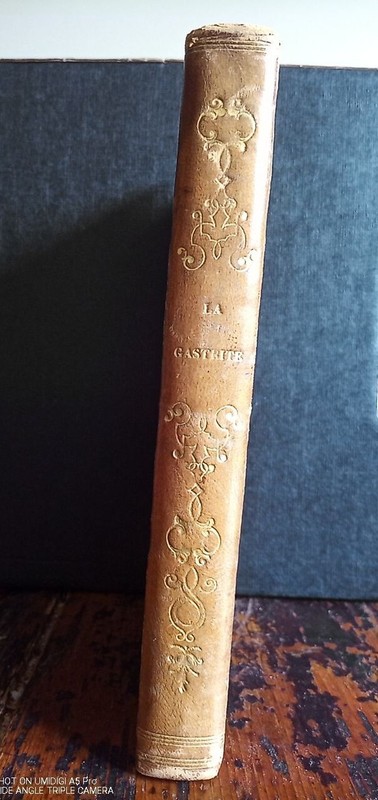 Besuchet De Saunois - La Gastrite, Les Affections Nerveuses - 1846 Chez LabbÃ©