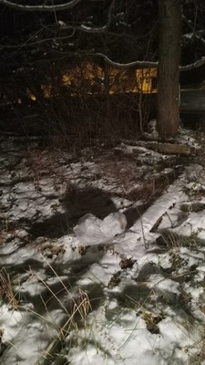 Foto dell'oggetto di un acquirente verificato