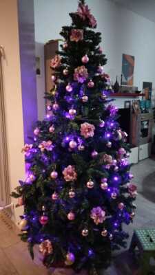 Fotos del artículo de un comprador verificado