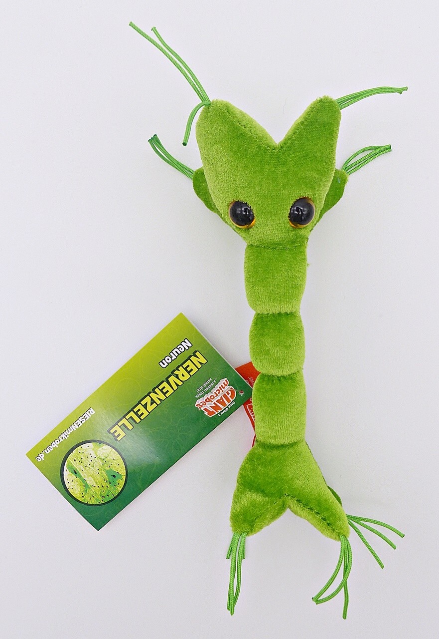Giant Mikroben Nervenzelle (Neuron) – Pädagogisches Plüschspielzeug, Niedlich & Lehrreich