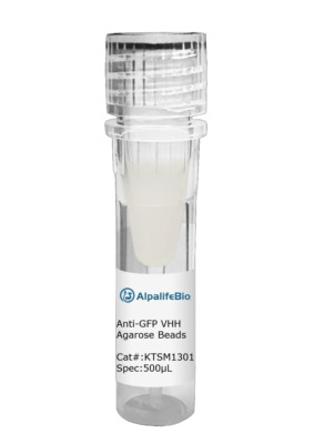 Anti-GFP VHH Agarose Beads