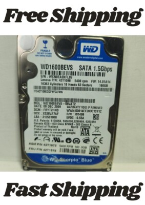 160gb HDD SATA II Western Digital : WD1600BEVS-08VAT2
