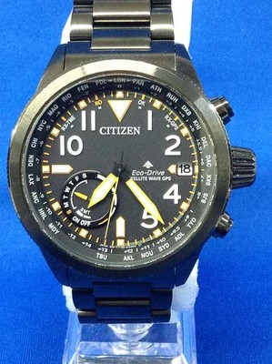 Citizen F150-S113512 Promaster