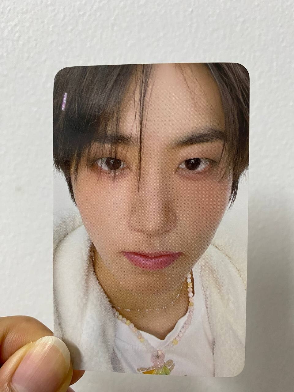 チソン  トレカ　ペンミ　jisung photo card fan meet JISUNG NCT DREAM DREAMIES' Wonderland JAPAN Fan Meeting
