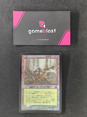 Magic: The Gathering  | Hickory Woodlot | Mercadian Masques