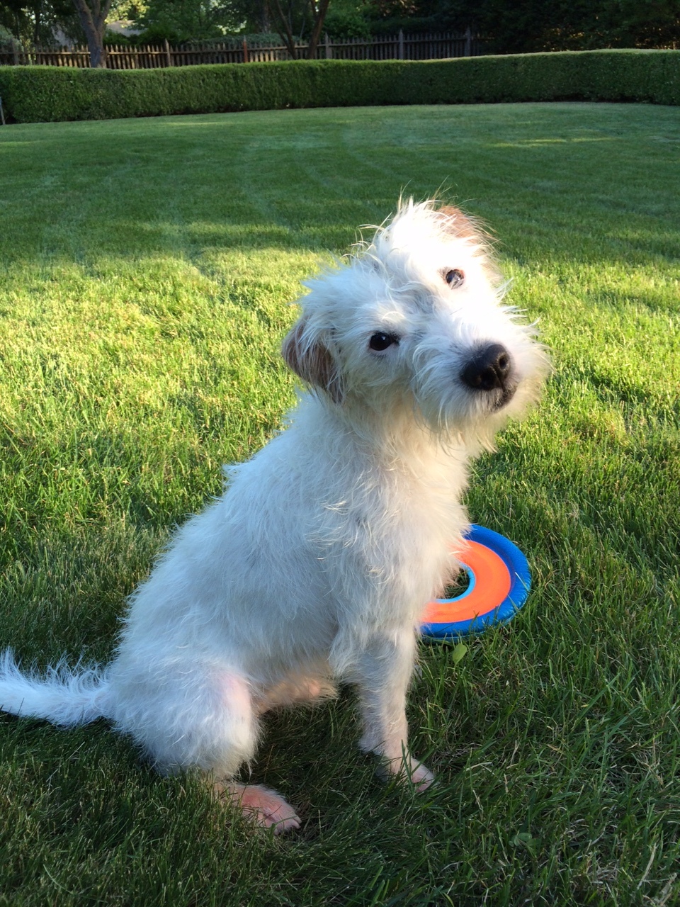 VINTAGE 100% COTTON FABRIC 16X11 BLUE PORT O' CALL BOATS CRAFTS QUILT WALL ART