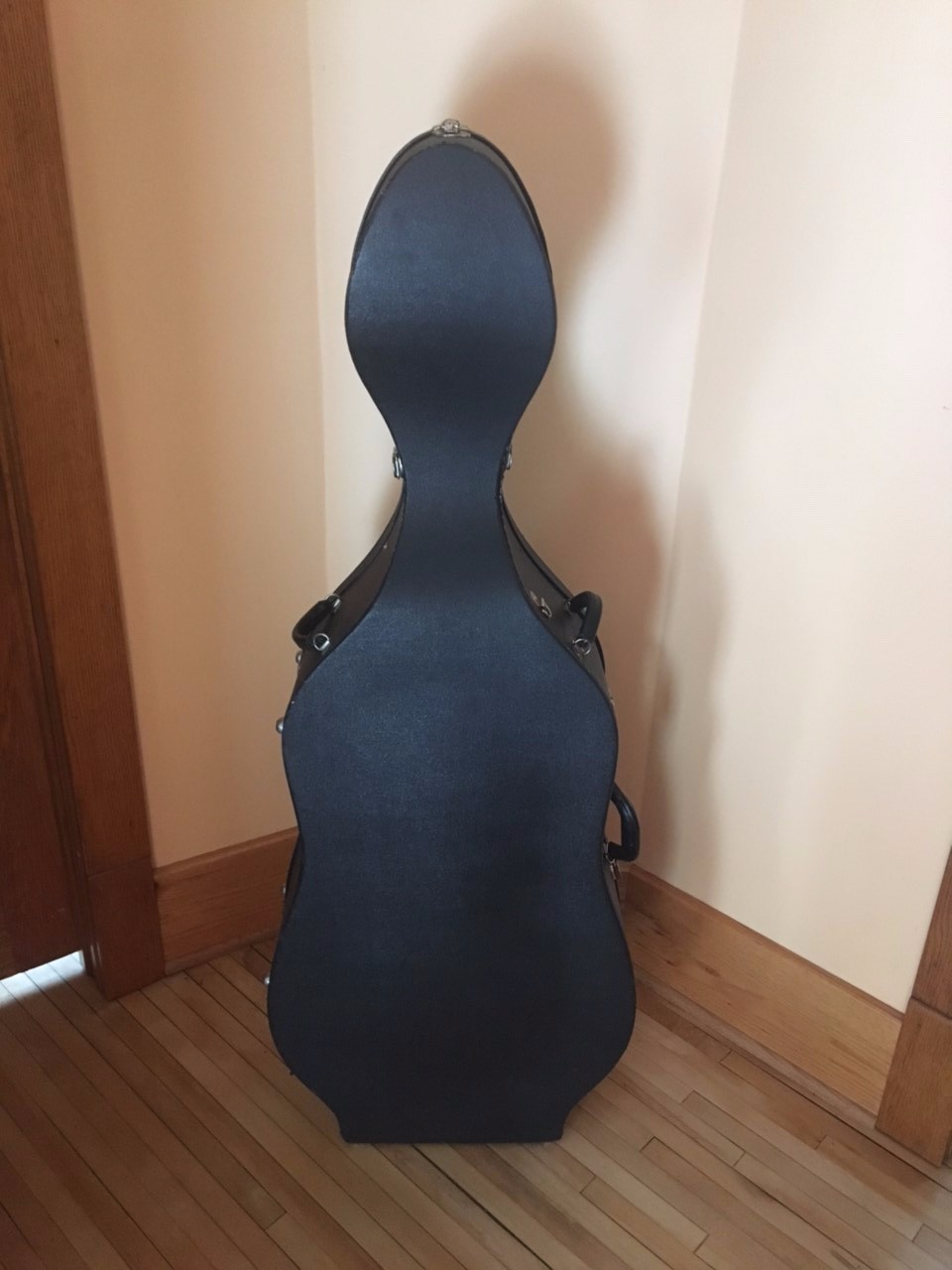 Hard Cello Case - without wheels - just case - spot for music and rosin