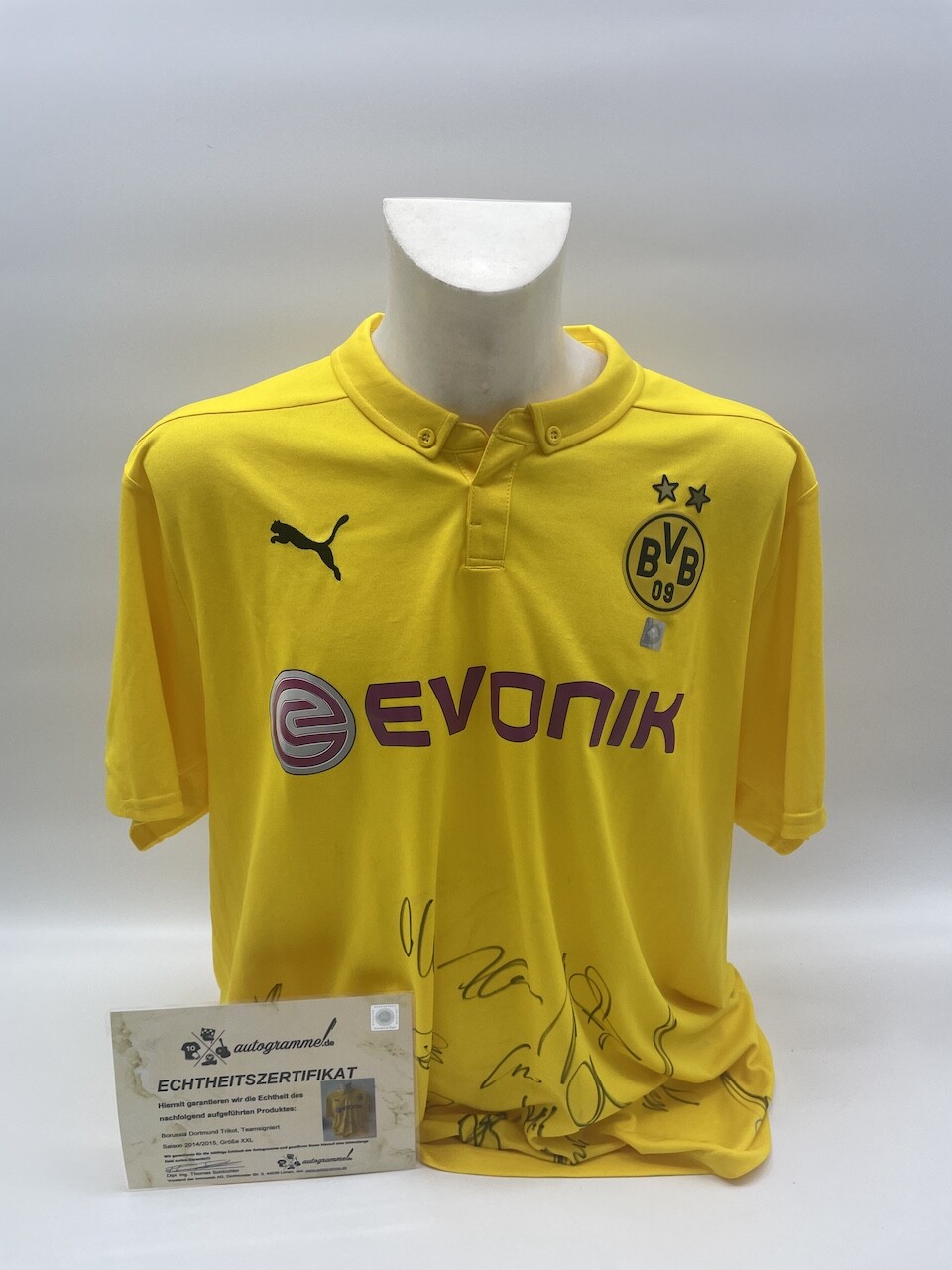 Bvb Jersey 2000/2001 Team Signed Borussia Dortmund Coa Goool