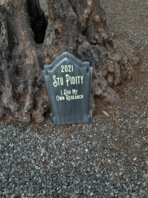 D- 2021 I Did My Own Research Halloween Tombstone Gravestone Headstone Non-LED 