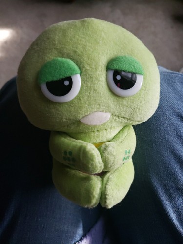 Fotos del artículo de un comprador verificado
