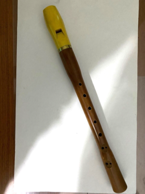 Hohner cheap wooden recorder