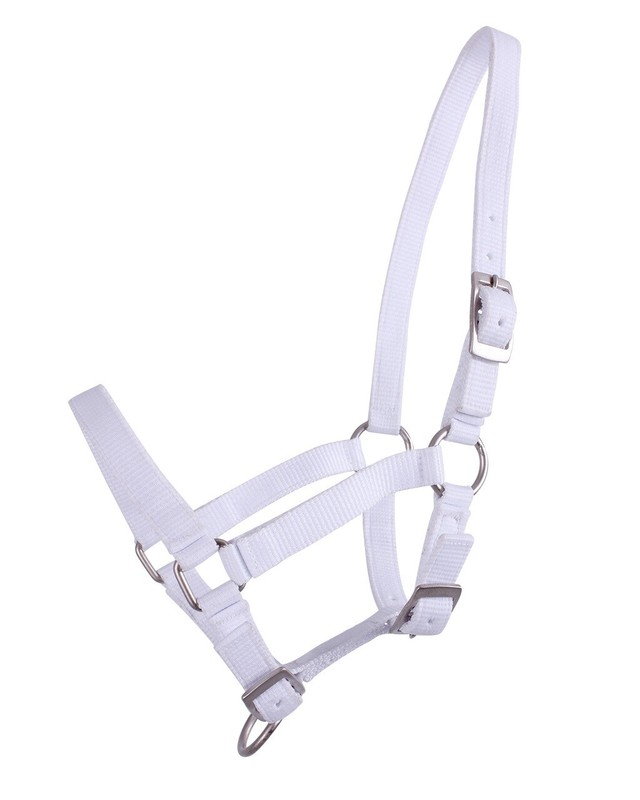 Fohlenhalfter 3-Fach Verstellbar Halfter FÃ¼R Fohlen Falabella Shetty Pony Full