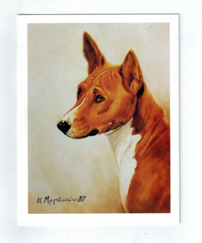 New Basenji Pet Dog Head Study Notecard Set of 6 Note Cards By Ruth Maystead