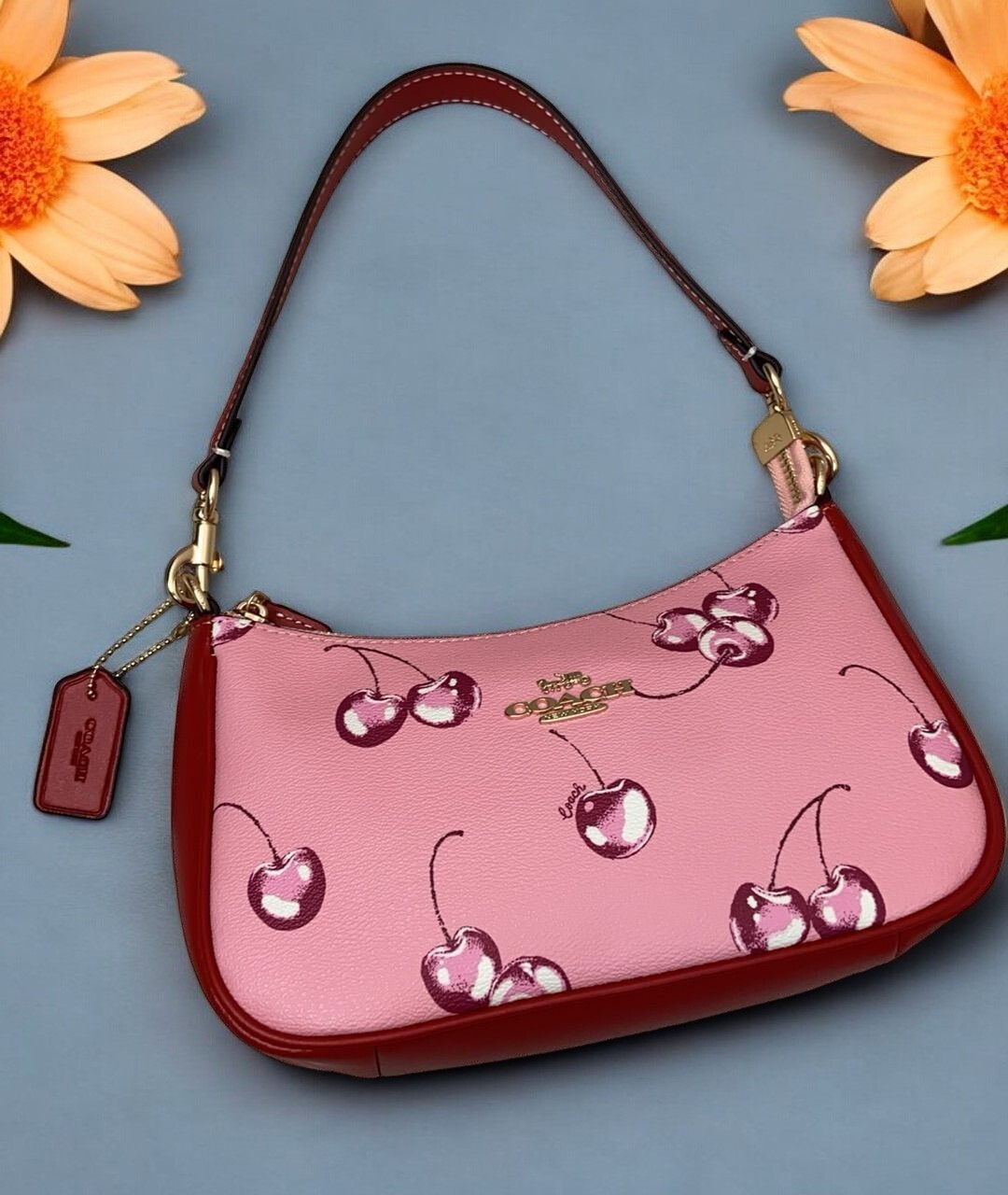 COACH CR290 2way Shoulder Bag Hand Bag Canvas Leather Cherry COACH CR290 2way Shoulder Bag Hand Bag Canvas Leather Cherry