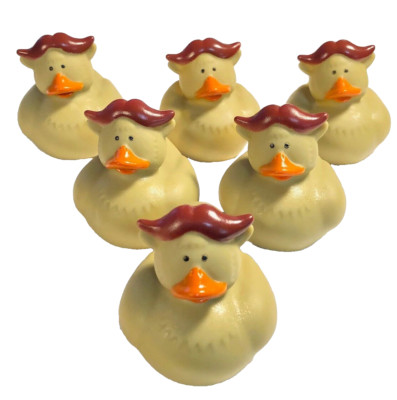 6 STUDY OWLS BIRD SHAPED CRUISING DUCKS RUBBER DUCKIES 2'' PARTY CRUISE DUCK