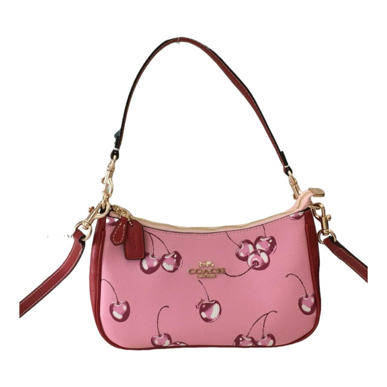COACH Teri 2way Shoulder Bag Canvas Leather Cherry Print