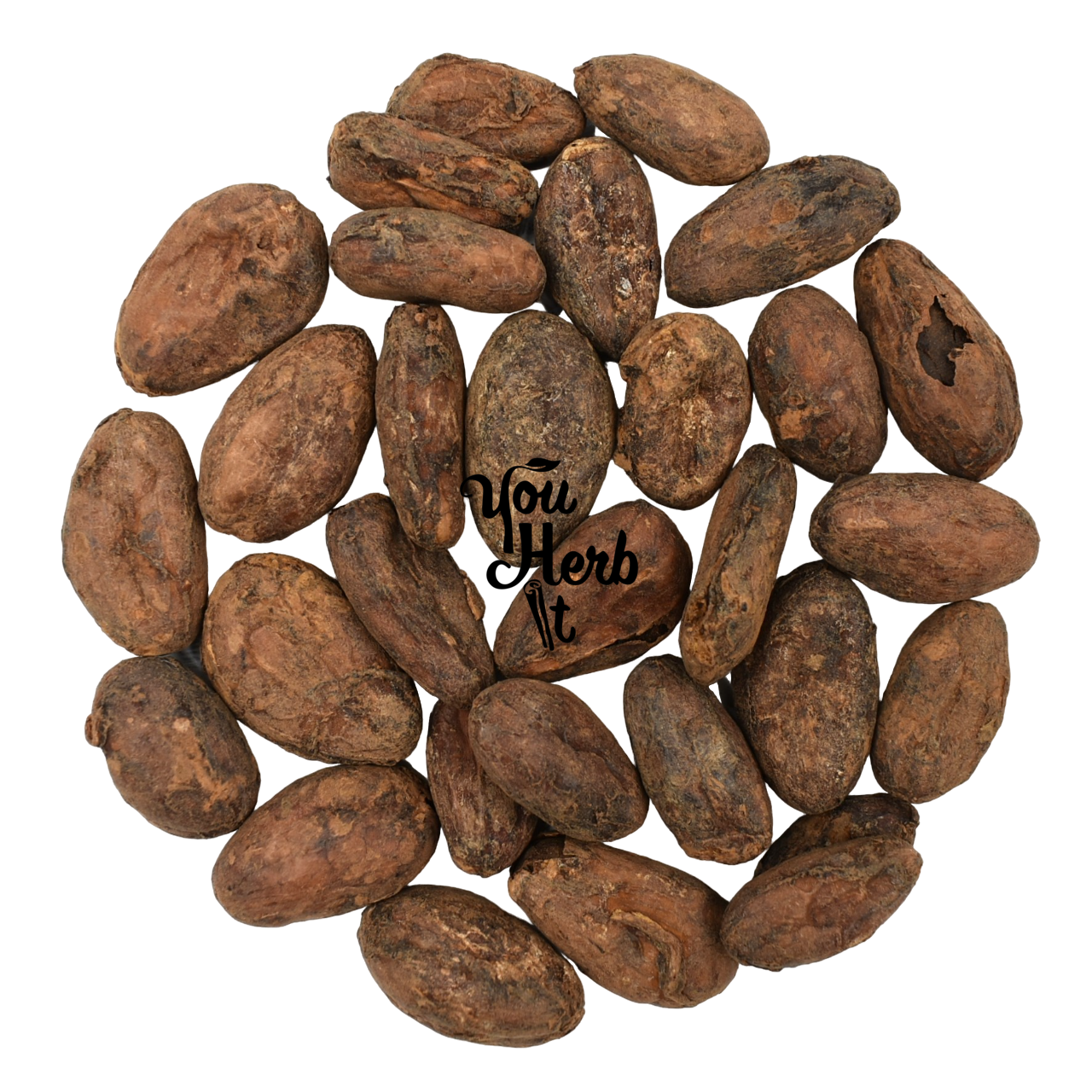 Organic Raw Criollo Whole Cacao Beans 300g-1.95kg - Theobroma Cacao