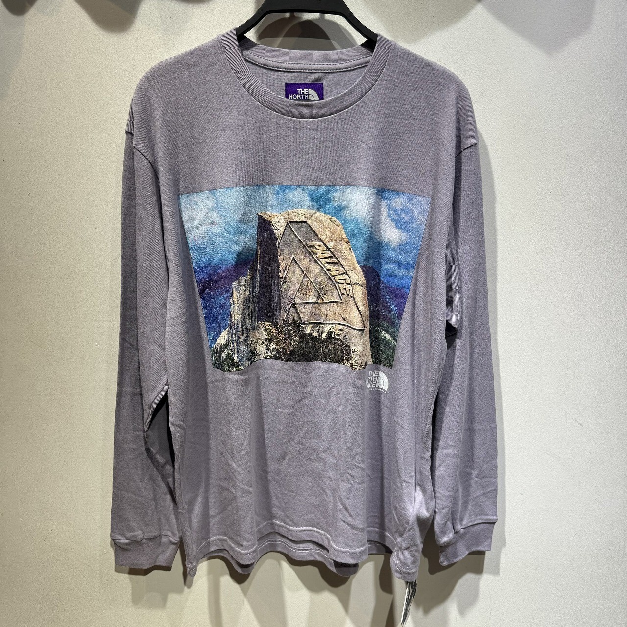 パレス PALACE the north face SHIRT sizeXL Palace x The North Face Purple Label H/S Logo T-shirt White