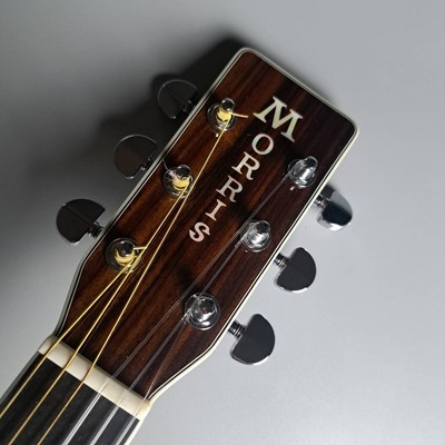 Morris     F 101III