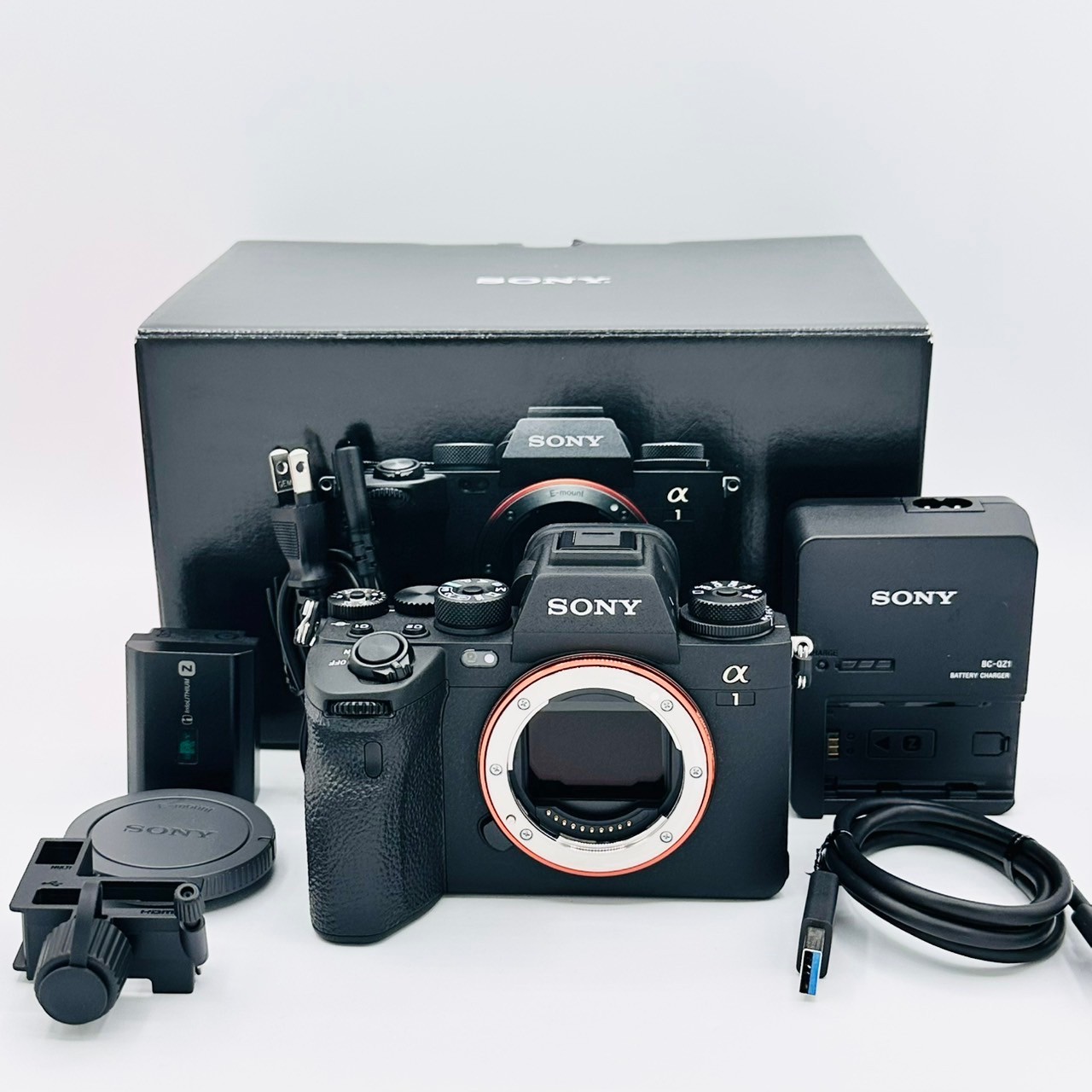 Sony ILCE-1 α1 Sony Alpha 1 (ILCE-1) Review - DustinAbbott.net