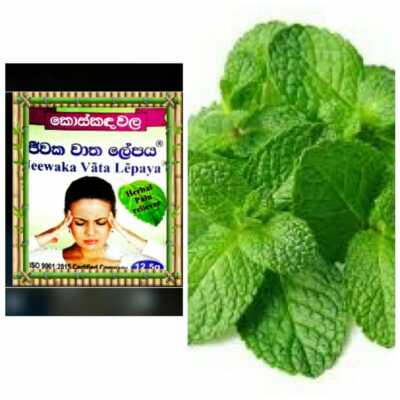 herbal ayurvedic Jeewaka Balm relief from headaches,muscle and bone aches