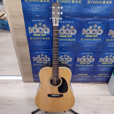 MORRIS acoustic guitar W-23