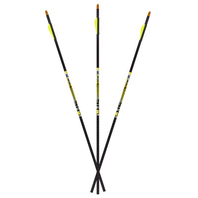 New Carbon Express D-STROYER 350 12PK SHAFTS