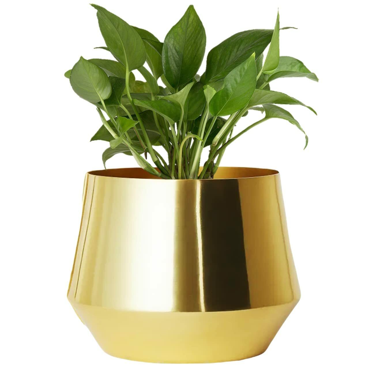 Alice Jr Metal Plant Pot, Decorative Modern Indoor Planter