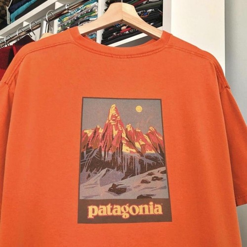 トップス 90s patagonia basic sweat shirt Patagonia '73 Skyline Uprisal Fleece Crewneck Sweatshirt