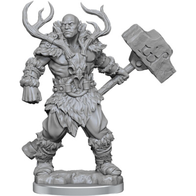 Dungeons & Dragons Frameworks: W02A Goliath Barbarian Male