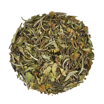 Pai Mu Tan Weiße Pfingstrose Weißer Tee 300g-2kg - Camellia Sinensis