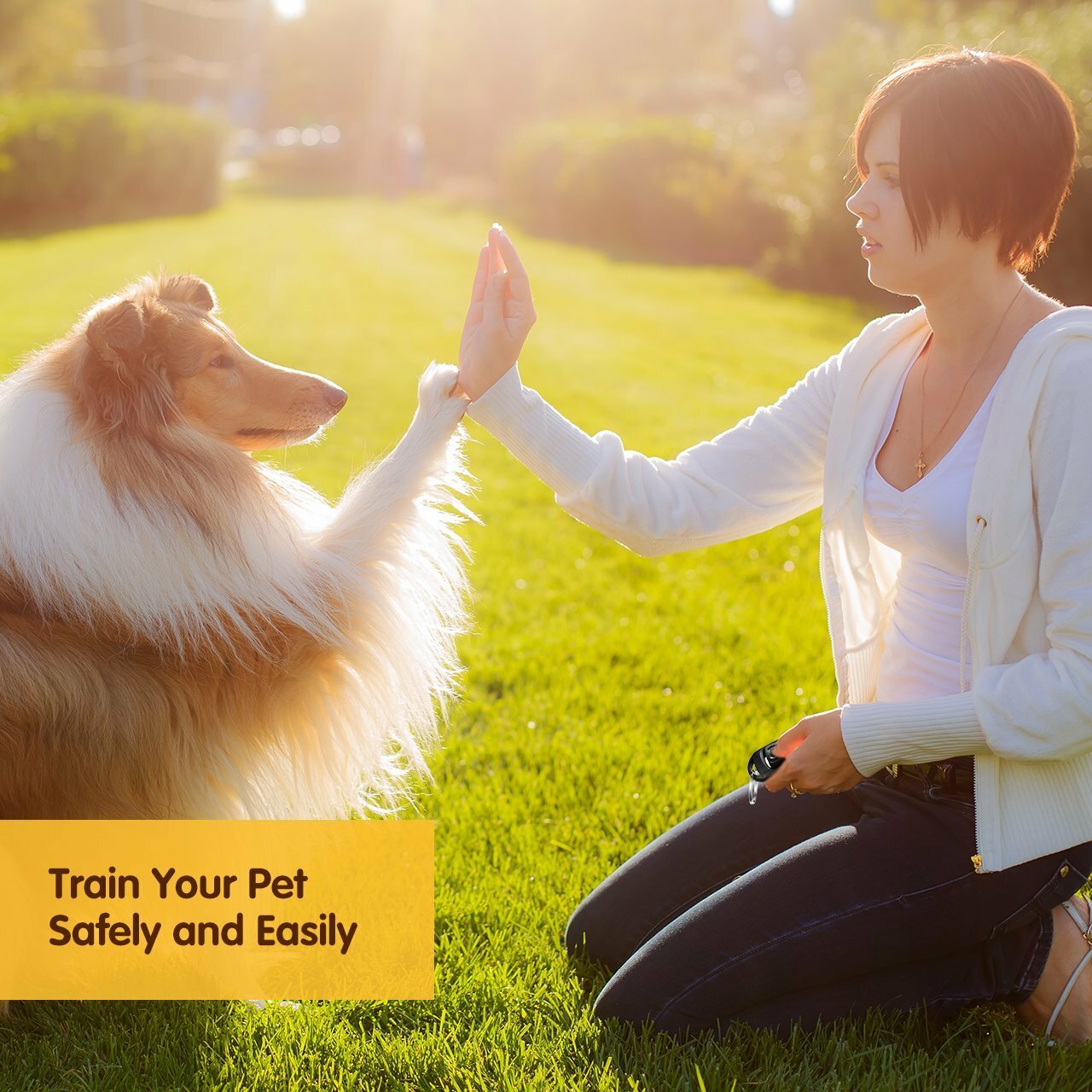 Dog Click Trainer Black 2 in 1 Clicker&Whistle Pet Puppy Obedience For USA SLR !