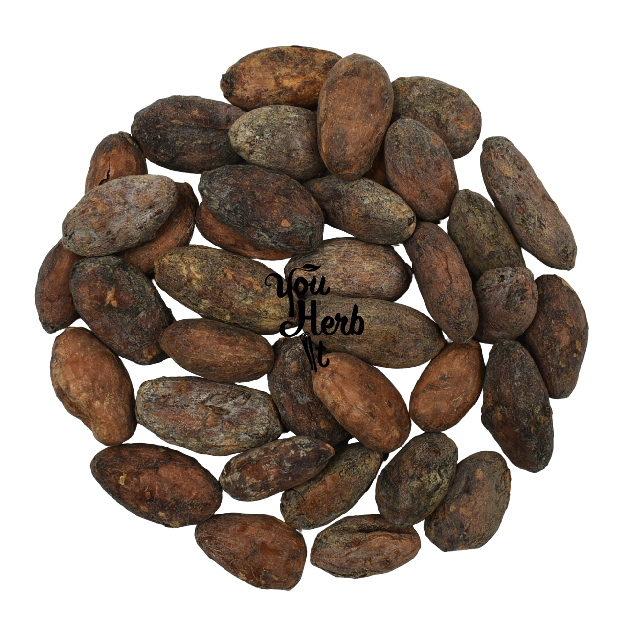 Organic Raw Criollo Whole Cacao Beans 300g-1.95kg - Theobroma Cacao