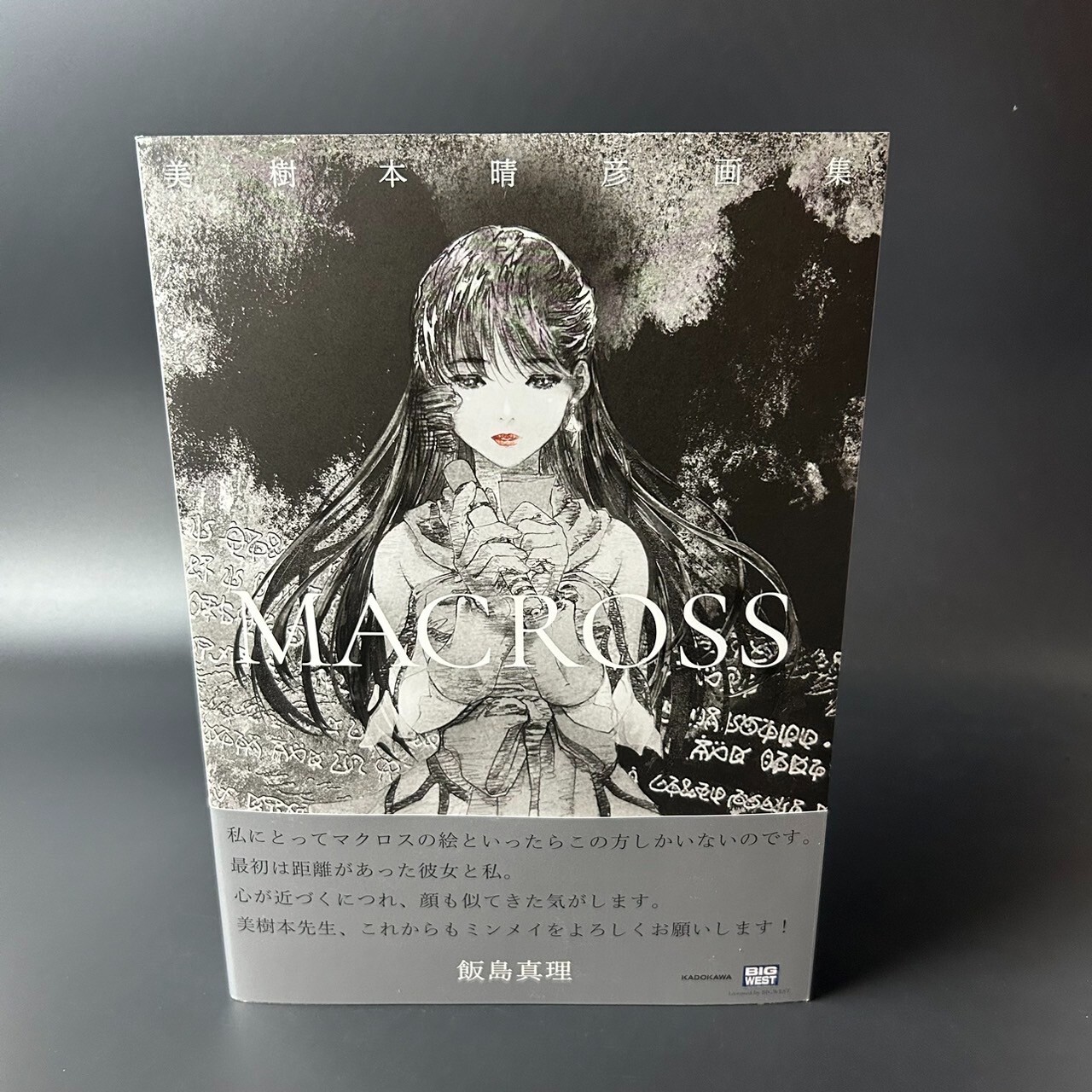 マクロス絵本 MACROSS Haruhiko Mikimoto Art Collection Illustrated Book