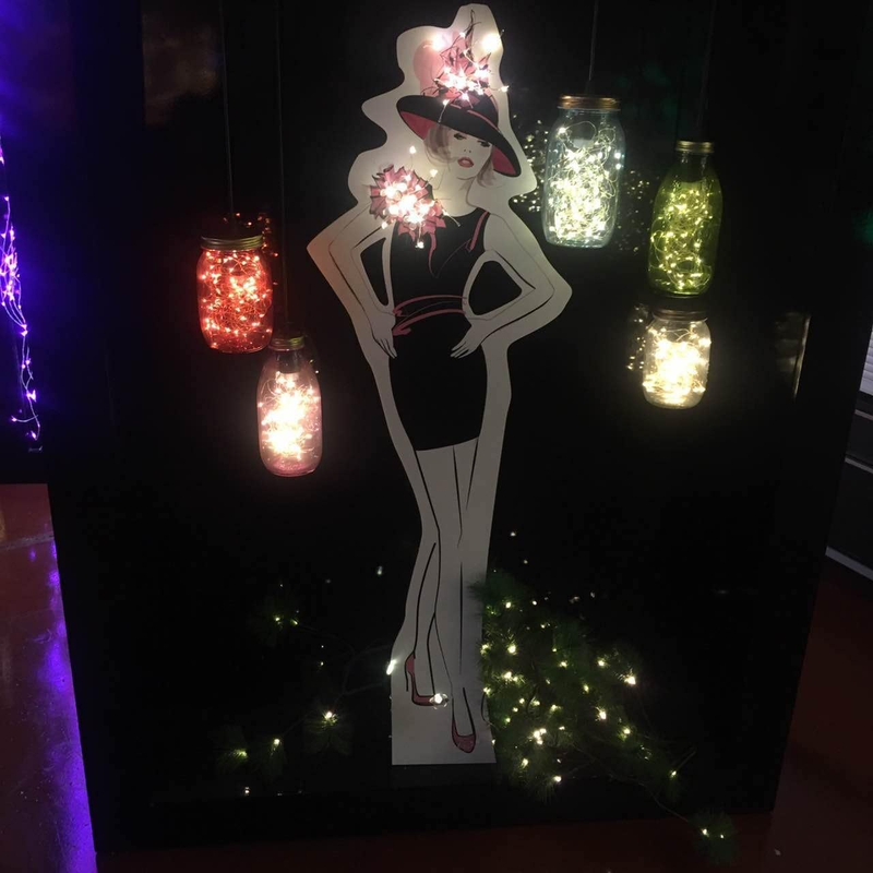2 Pack Battery Operated Led String Lights,Mini Led Fairy Lights with Timer 6Hour