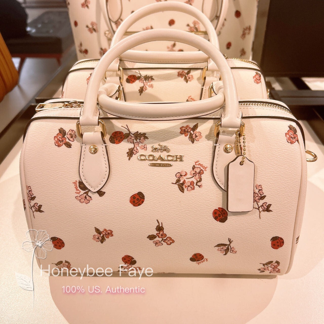 Presale NWT Coach Rowan Satchel With Ladybug Floral Print